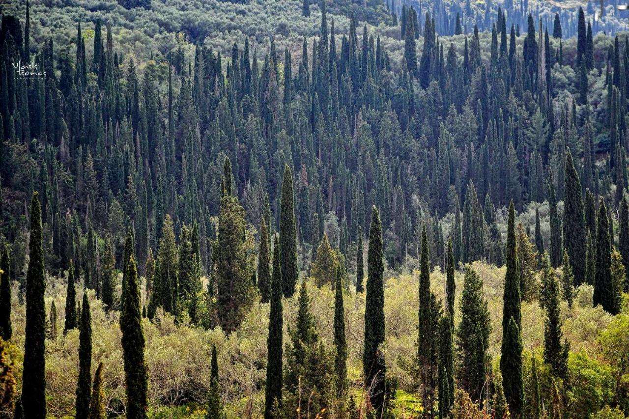 Villa Zoi Pelekas Buitenkant foto